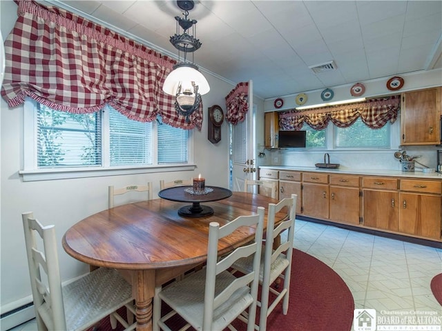 4896 Ashville Bay Rd, North Harmony, NY 14710 - dining space featuring a baseboard radiator