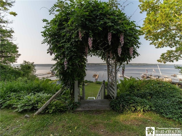 4896 Ashville Bay Rd, North Harmony, NY 14710 - view of yard with a water view
