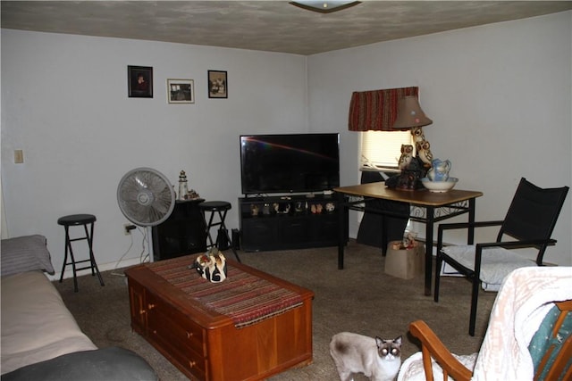 6885 E William Street Ext, Bath, NY 14810 - photo 27