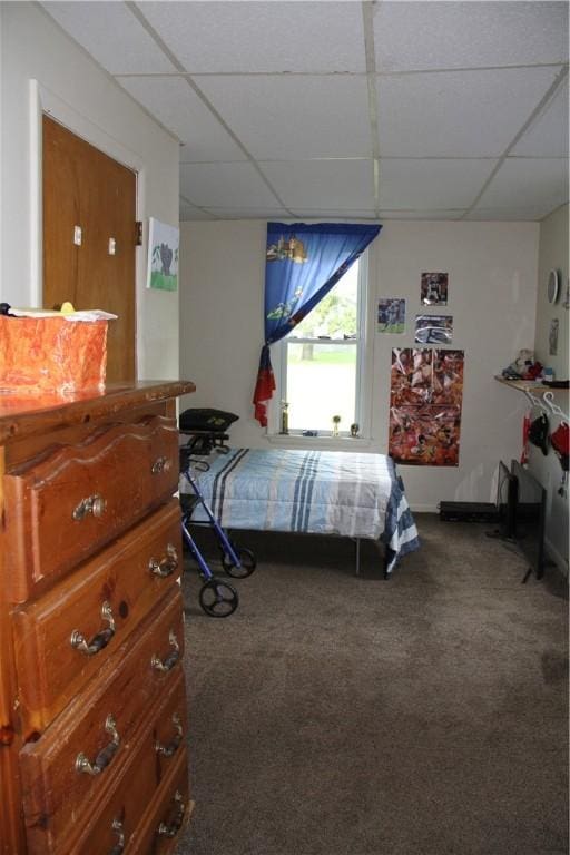 6885 E William Street Ext, Bath, NY 14810 - photo 10