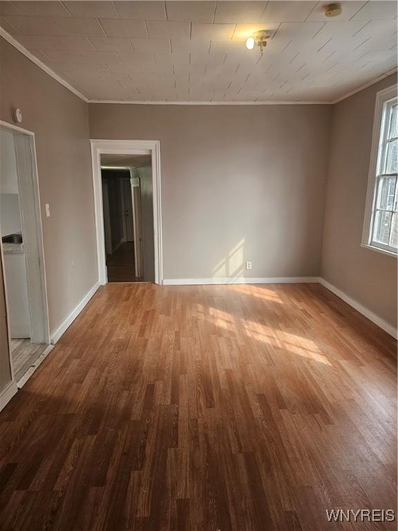 167 E St, Buffalo, NY 14207 - photo 8