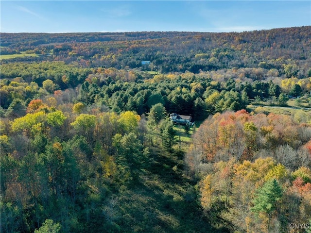 7810 County Road 15, Angelica, NY 14709 - photo 1