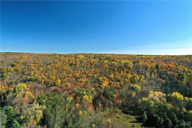 7810 County Road 15, Angelica, NY 14709 - photo 2