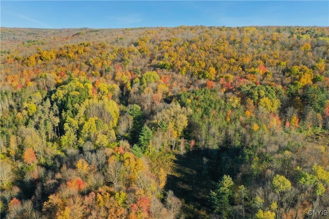 7810 County Road 15, Angelica, NY 14709 - photo 4