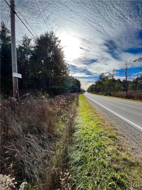 7810 County Road 15, Angelica, NY 14709 - photo 6