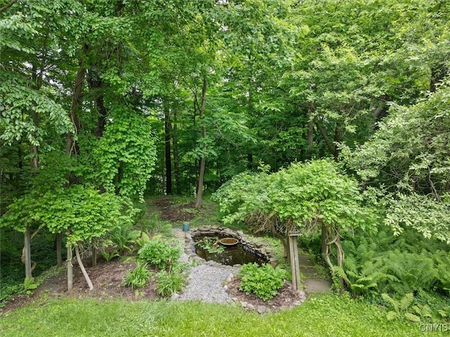 13 Dodd St, Whitestown, NY 13492 - view of local wilderness