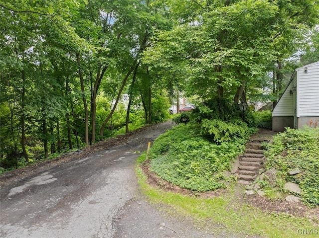 13 Dodd St, Whitestown, NY 13492 - view of asphalt driveway with stairs