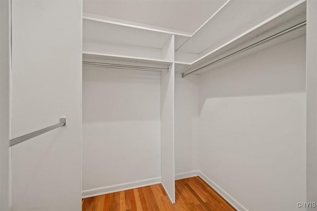13 Dodd St, Whitestown, NY 13492 - walk in closet with wood finished floors