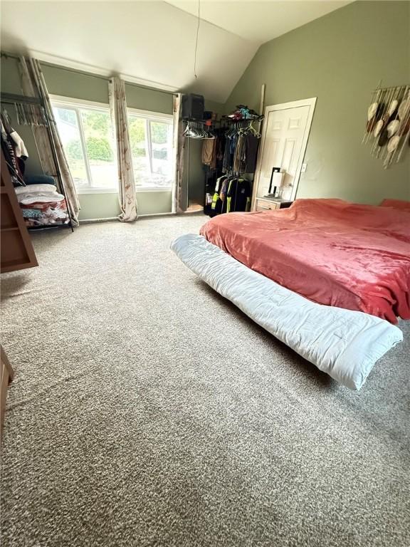 114 W Main St, Sidney, NY 13838 - bedroom with vaulted ceiling and carpet flooring