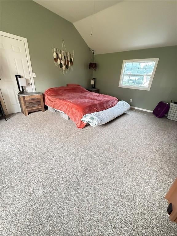 114 W Main St, Sidney, NY 13838 - bedroom with lofted ceiling and carpet flooring