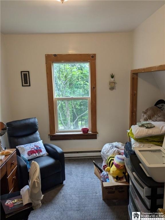 650 Barrows St, Jamestown, NY 14701 - living area featuring a baseboard radiator and carpet flooring