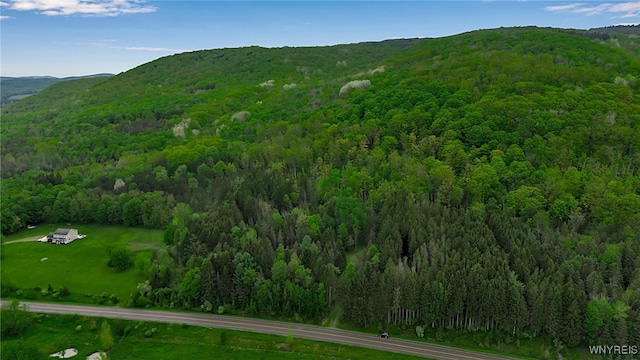 VL Maples Rd, Mansfield, NY 14755