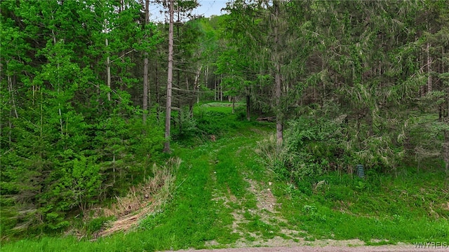 VL Maples Rd, Mansfield, NY 14755
