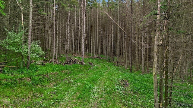 VL Maples Rd, Mansfield, NY 14755