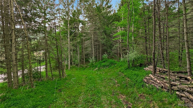 VL Maples Rd, Mansfield, NY 14755