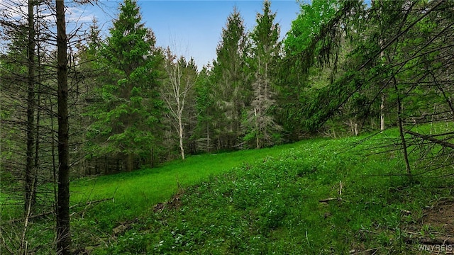 VL Maples Rd, Mansfield, NY 14755