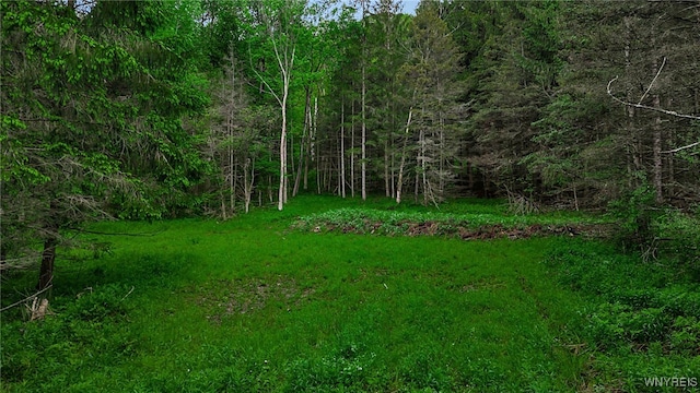 VL Maples Rd, Mansfield, NY 14755