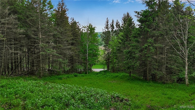 VL Maples Rd, Mansfield, NY 14755