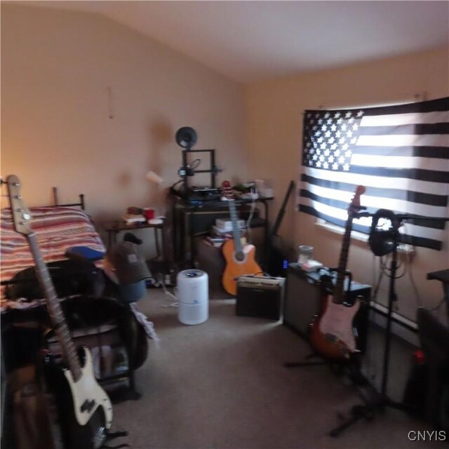 3903 Lafayette Rd, Lafayette, NY 13078 - misc room featuring carpet and lofted ceiling
