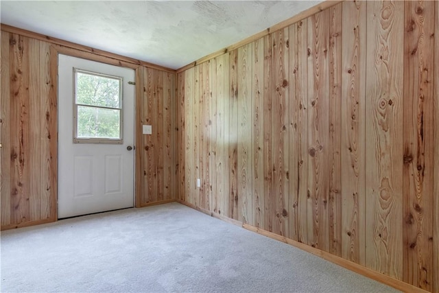 46946 Dingman Point Rd, Alexandria, NY 13607 - unfurnished room featuring carpet flooring and wooden walls