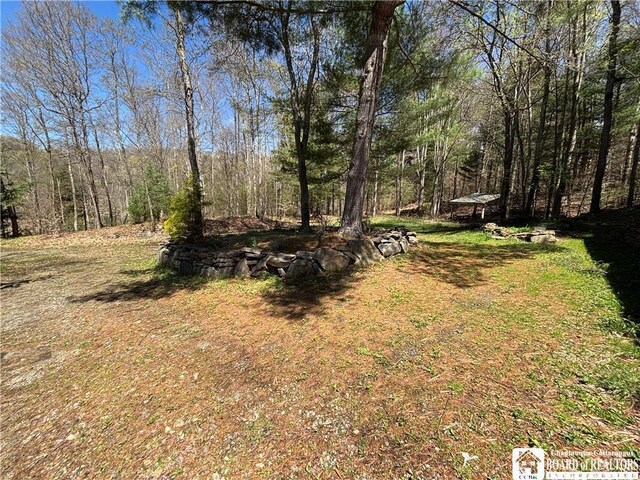 1134 State Route 248, Independence, NY 14877 - photo 42