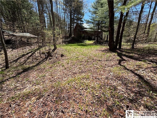 1134 State Route 248, Independence, NY 14877 - photo 43