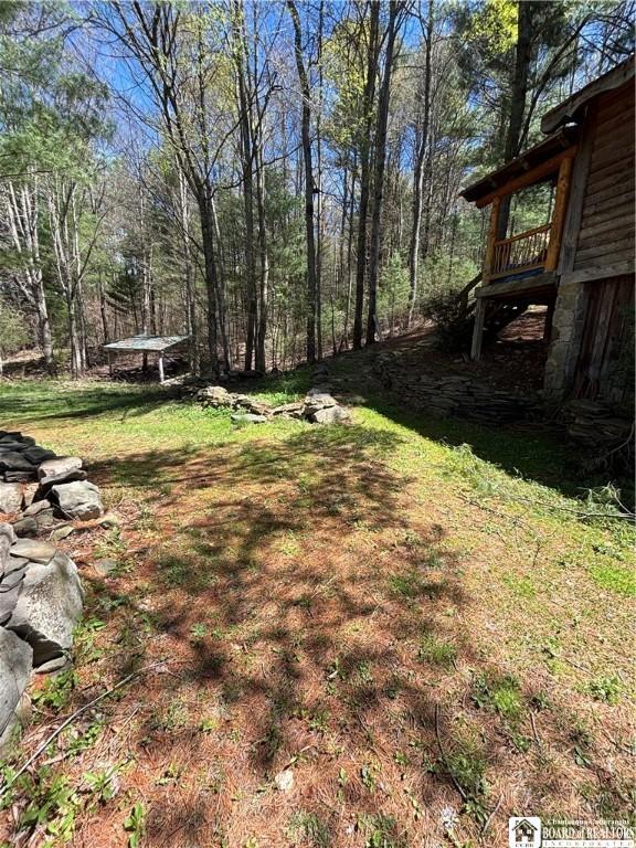 1134 State Route 248, Independence, NY 14877 - photo 44