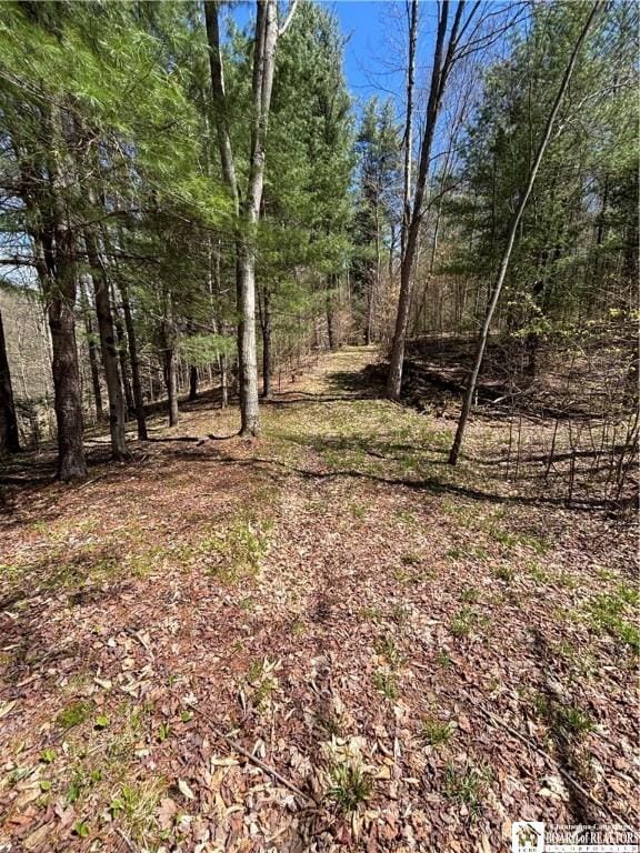 1134 State Route 248, Independence, NY 14877 - photo 45