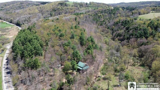 1134 State Route 248, Independence, NY 14877 - photo 46