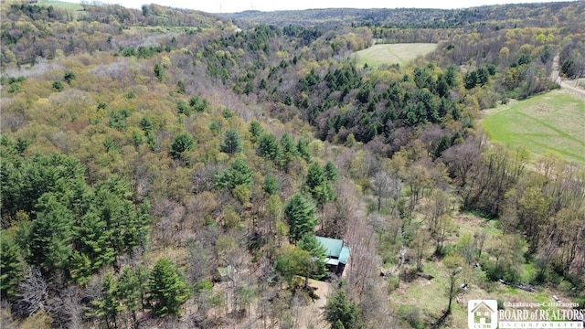 1134 State Route 248, Independence, NY 14877 - photo 47