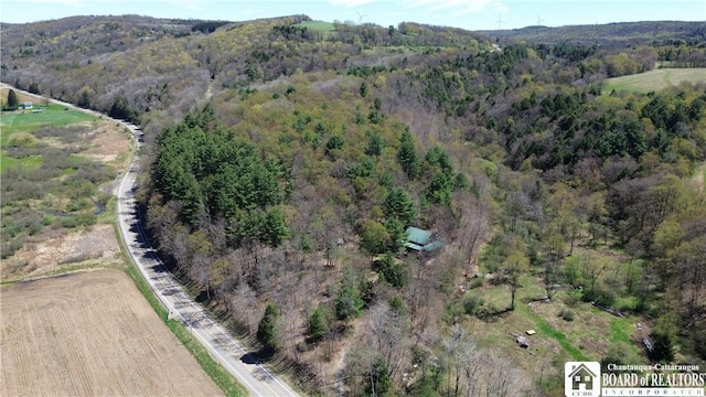 1134 State Route 248, Independence, NY 14877 - photo 48