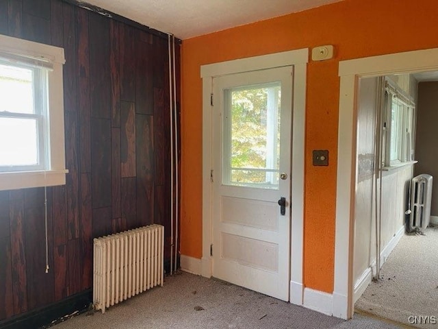 551/2 N Helmer Ave, Manheim, NY 13329 - doorway to outside with radiator and carpet