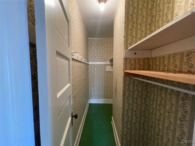 551/2 N Helmer Ave, Manheim, NY 13329 - view of spacious closet