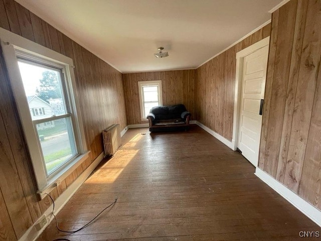 551/2 N Helmer Ave, Manheim, NY 13329 - hall featuring radiator, dark wood-style floors, and wood walls
