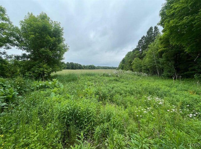 12601 State Route 12, Boonville, NY 13309 - photo 3