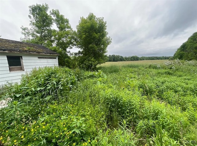 12601 State Route 12, Boonville, NY 13309 - photo 4