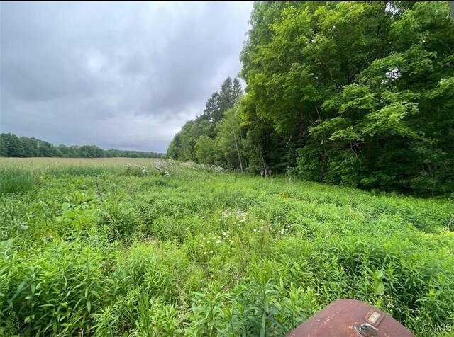 12601 State Route 12, Boonville, NY 13309 - photo 5