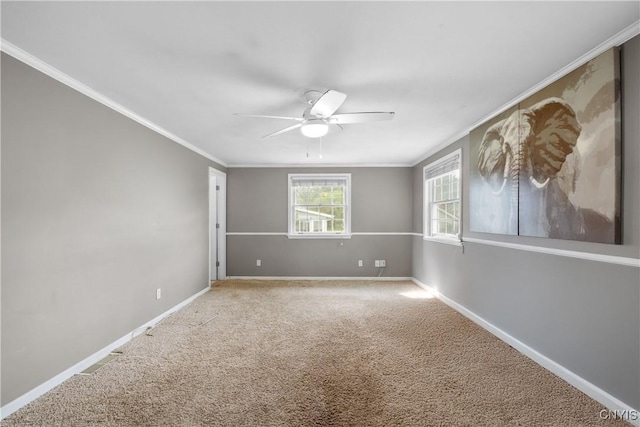 7698 Anchor Dr, Clay, NY 13090 - spare room featuring ceiling fan, carpet, and crown molding