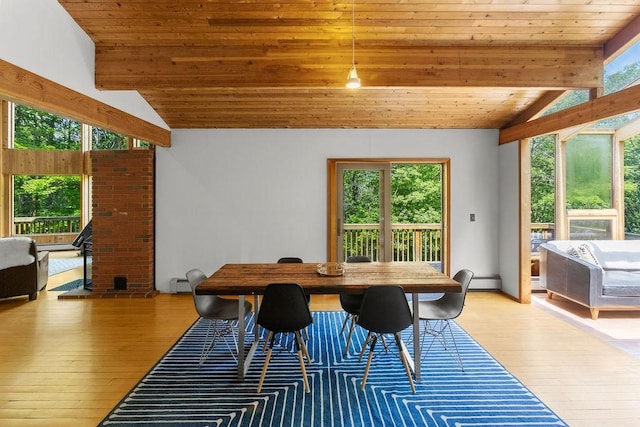 8 Small Rd, Middletown, NY 12455 - dining room featuring wood ceiling, light wood finished floors, plenty of natural light, and a baseboard radiator