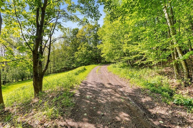 8 Small Rd, Middletown, NY 12455 - view of road with a wooded view