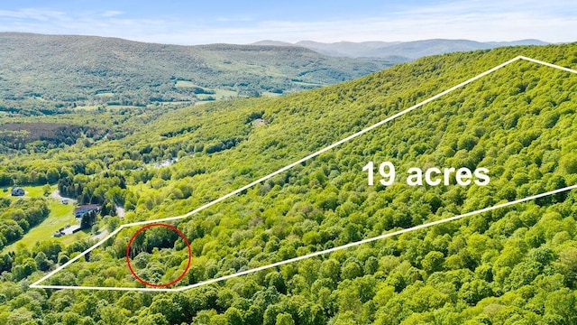 8 Small Rd, Middletown, NY 12455 - aerial view of property's location with property parcel outlined and a mountainous background