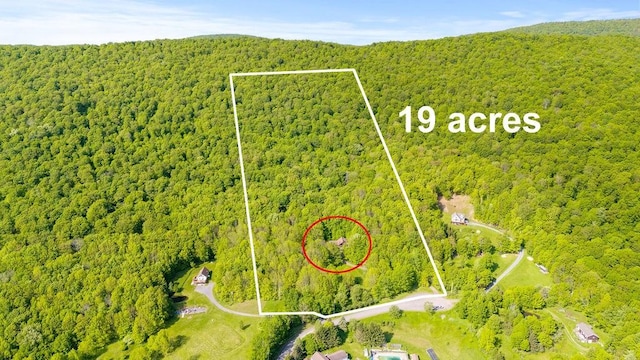 8 Small Rd, Middletown, NY 12455 - aerial view of property's location with a heavily wooded area and property parcel outlined