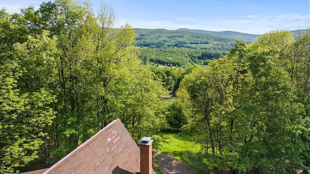 8 Small Rd, Middletown, NY 12455 - mountain view featuring a heavily wooded area