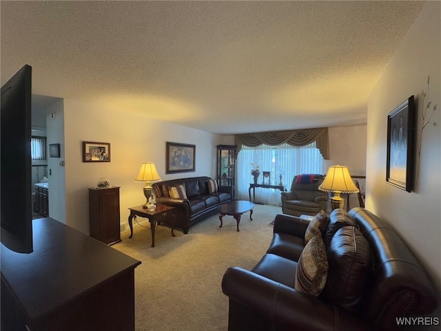 66 Fairlane Ave, Tonawanda-Town, NY 14150 - living area featuring carpet floors and a textured ceiling