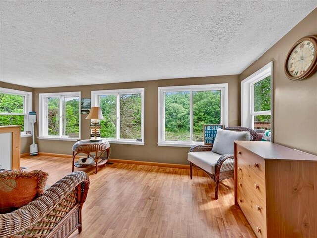 7686 Cardinal Rd, Wolcott, NY 14590 - photo 25