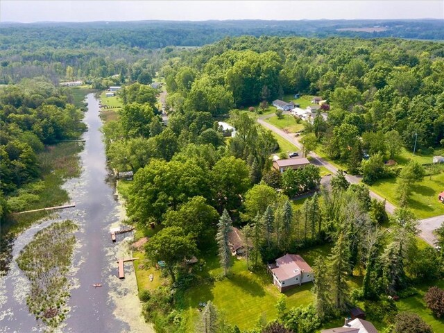 7686 Cardinal Rd, Wolcott, NY 14590 - photo 43