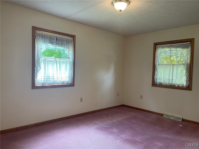 201 Sayles St, Oneida-Inside, NY 13421 - empty room with healthy amount of natural light and carpet