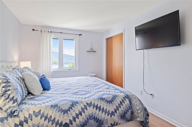 3 Harbour Ln, South Bristol, NY 14424 - bedroom with wood finished floors and baseboards
