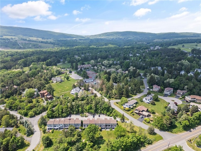 3 Harbour Ln, South Bristol, NY 14424 - aerial view of property's location featuring a heavily wooded area