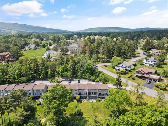 3 Harbour Ln, South Bristol, NY 14424 - aerial view of residential area featuring a forest and a mountainous background